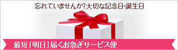 最短「明日」届くお急ぎサービス便