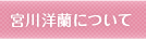 宮川洋蘭について