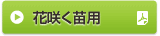花咲く苗用