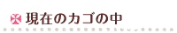 現在のカゴの中